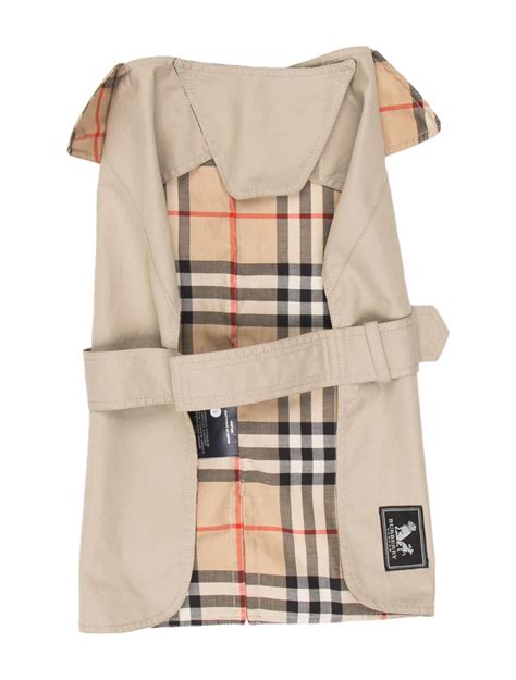 burberry raincoat for dogs.